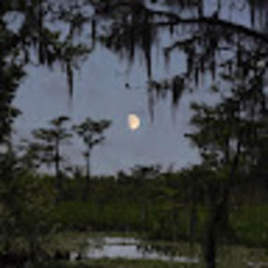 Meet your Posher, Raphael